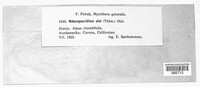 Image Associated With the Occurence